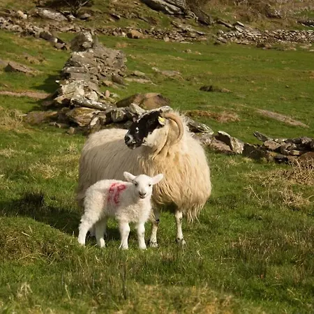 The Blue Door * カアーサイビーン