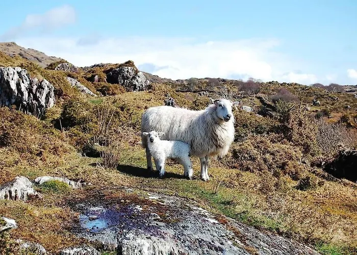The Blue Door * كاهيرسيفين
