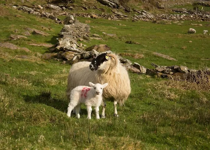 The Blue Door * كاهيرسيفين